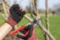 Mobile Preview: FELCO 13 | Einhand Baum-, Reb-, Gartenschere | Hochleistung | Bedienung mit 1 oder 2 Händen | Baumschnitt mit einer Hand